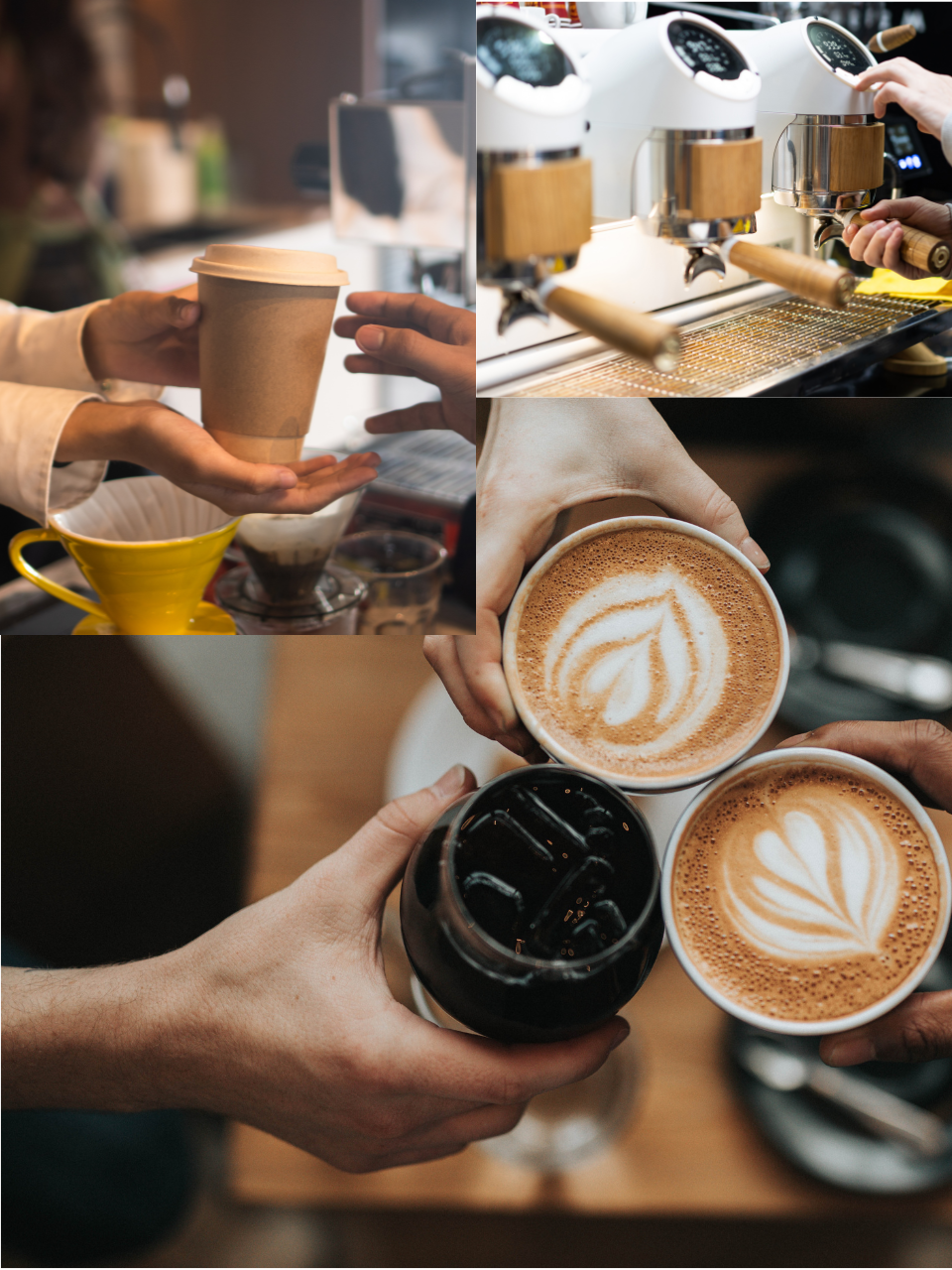 Coffee Shop for Sale in Dubai | Prime Mall Location | Turnkey Café Business