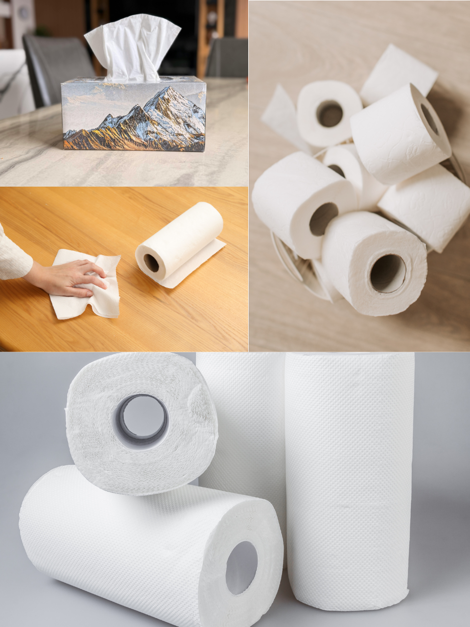 Tissue & Paper Products Manufacturing Business for Sale | Premium Industrial Opportunity